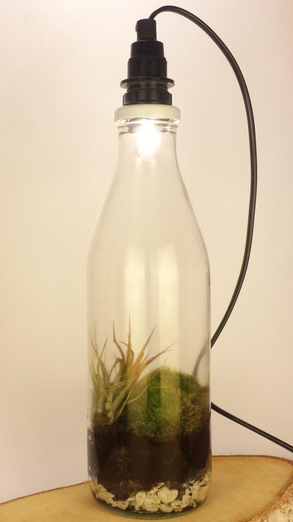 HOT: een plantlamp