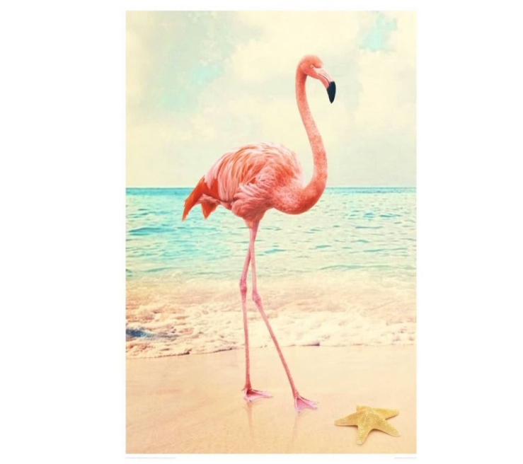 Posters - Reinders flamingo